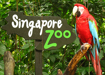 Singapore Zoo Living Classroom